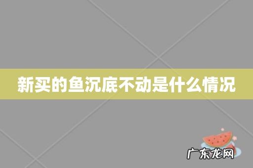 新买的鱼沉底不动是什么情况