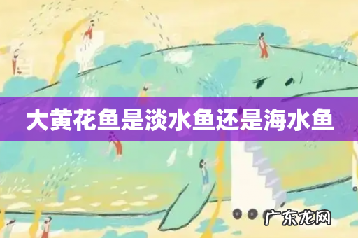 大黄花鱼是淡水鱼还是海水鱼