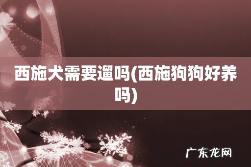 西施狗狗好养吗 西施犬需要遛吗