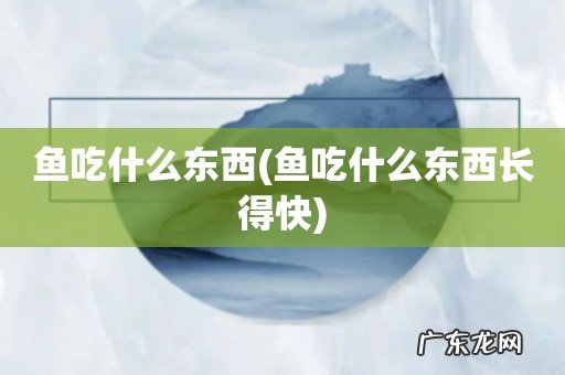 鱼吃什么东西长得快 鱼吃什么东西