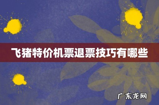 飞猪特价机票退票技巧有哪些