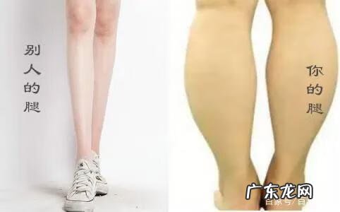 怎么减小腿上的肥肉 怎么减小腿肚子