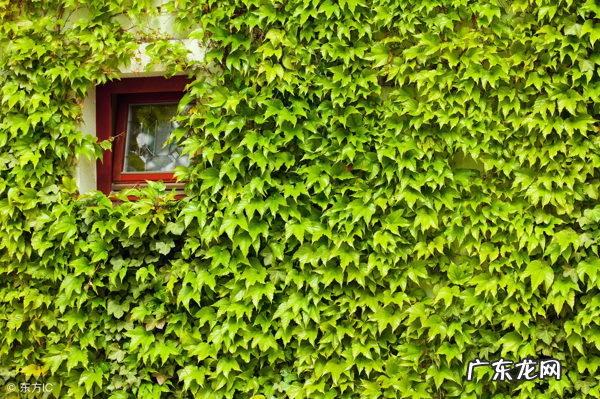 有官司的房子风水好吗 官司房风水