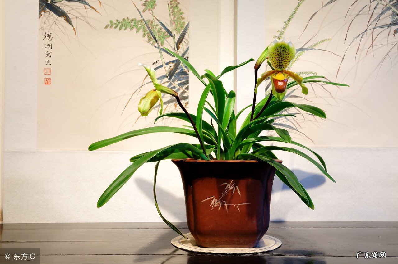 有官司的房子风水好吗 官司房风水