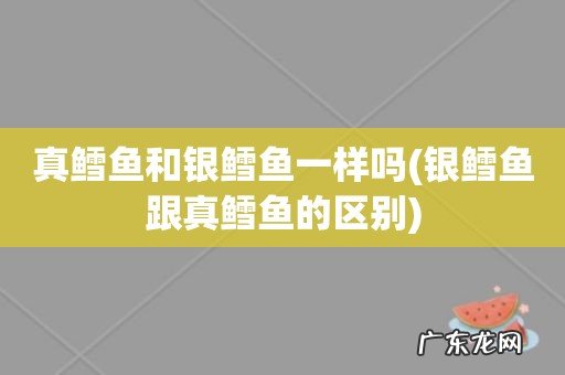 银鳕鱼跟真鳕鱼的区别 真鳕鱼和银鳕鱼一样吗