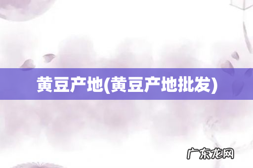 黄豆产地批发 黄豆产地