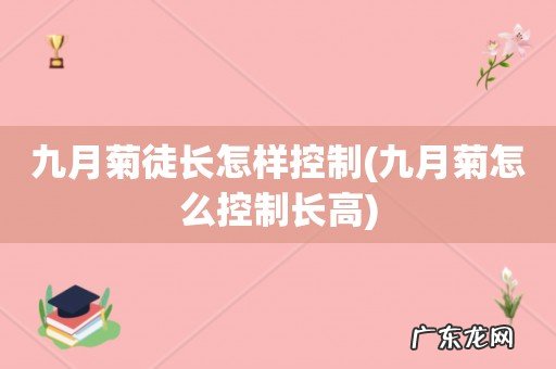九月菊怎么控制长高 九月菊徒长怎样控制