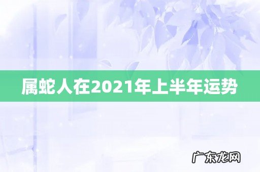 属蛇人在2021年上半年运势