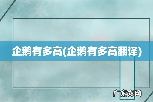 企鹅有多高翻译 企鹅有多高