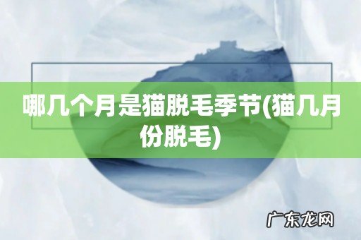 猫几月份脱毛 哪几个月是猫脱毛季节