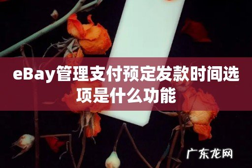 eBay管理支付预定发款时间选项是什么功能