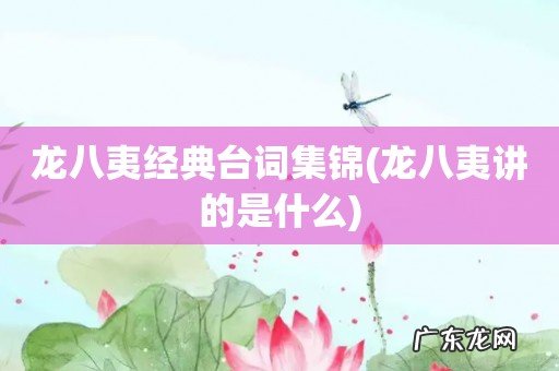 龙八夷讲的是什么 龙八夷经典台词集锦