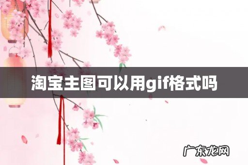 淘宝主图可以用gif格式吗