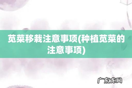 种植苋菜的注意事项 苋菜移栽注意事项