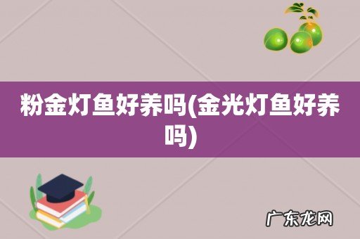 金光灯鱼好养吗 粉金灯鱼好养吗