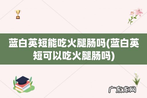 蓝白英短可以吃火腿肠吗 蓝白英短能吃火腿肠吗