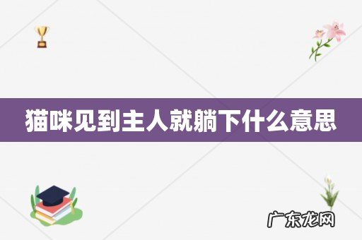 猫咪见到主人就躺下什么意思
