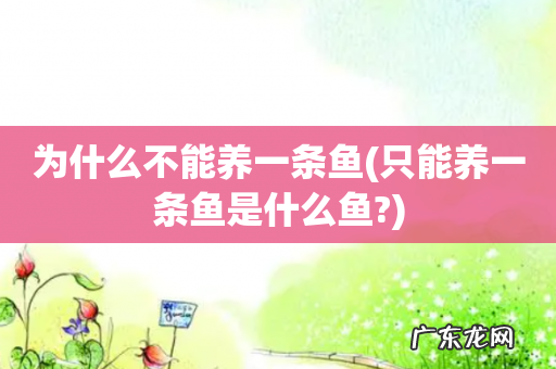 只能养一条鱼是什么鱼? 为什么不能养一条鱼