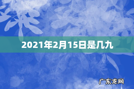 2021年2月15日是几九