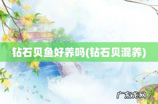 钻石贝混养 钻石贝鱼好养吗