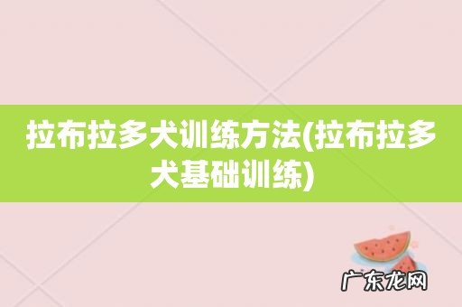拉布拉多犬基础训练 拉布拉多犬训练方法
