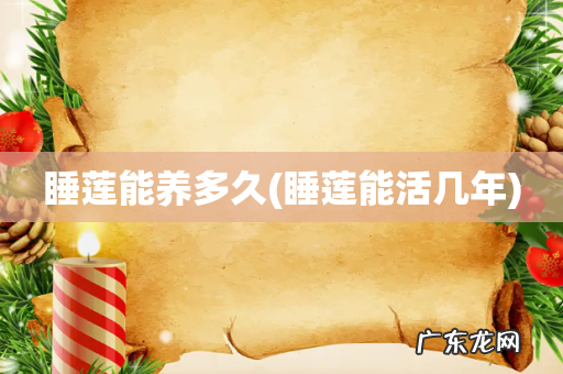 睡莲能活几年 睡莲能养多久