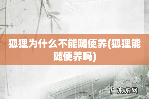 狐狸能随便养吗 狐狸为什么不能随便养