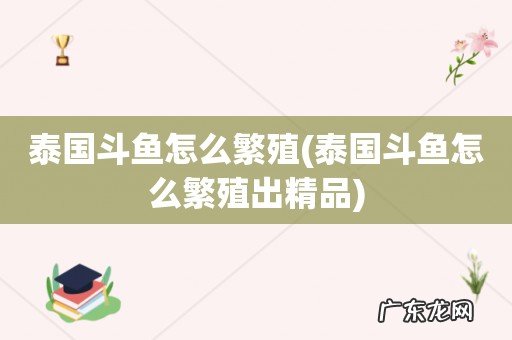 泰国斗鱼怎么繁殖出精品 泰国斗鱼怎么繁殖