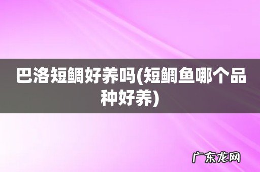 短鲷鱼哪个品种好养 巴洛短鲷好养吗