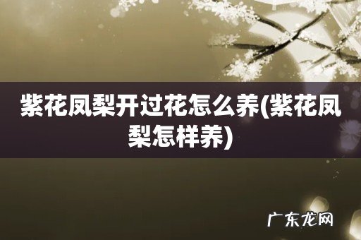 紫花凤梨怎样养 紫花凤梨开过花怎么养