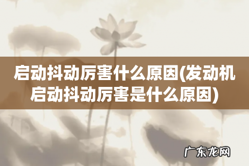 发动机启动抖动厉害是什么原因 启动抖动厉害什么原因