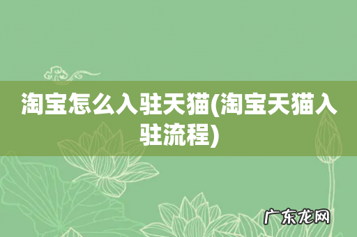 淘宝天猫入驻流程 淘宝怎么入驻天猫