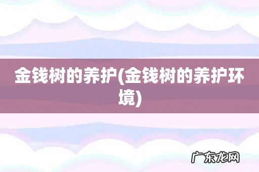 金钱树的养护环境 金钱树的养护