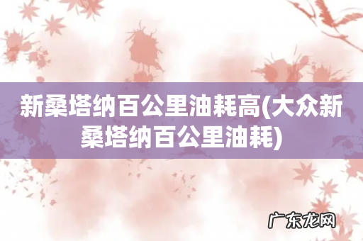 大众新桑塔纳百公里油耗 新桑塔纳百公里油耗高