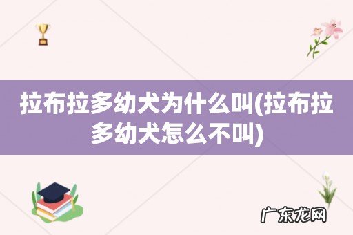 拉布拉多幼犬怎么不叫 拉布拉多幼犬为什么叫