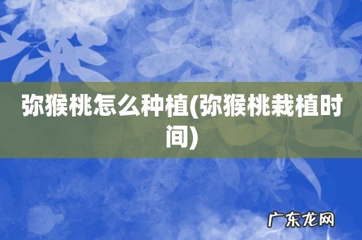 弥猴桃栽植时间 弥猴桃怎么种植