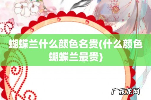 什么颜色蝴蝶兰最贵 蝴蝶兰什么颜色名贵