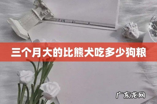 三个月大的比熊犬吃多少狗粮