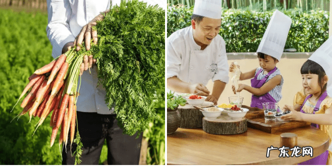 风水王老师 六善老师周易风水