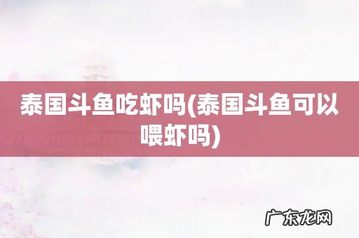 泰国斗鱼可以喂虾吗 泰国斗鱼吃虾吗