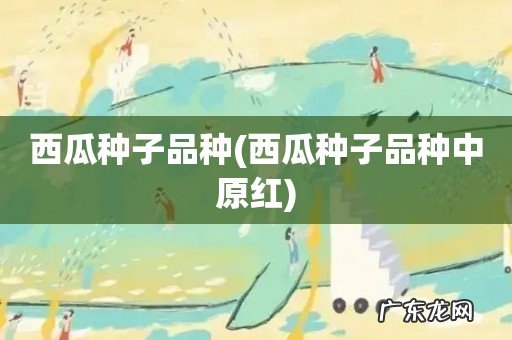 西瓜种子品种中原红 西瓜种子品种