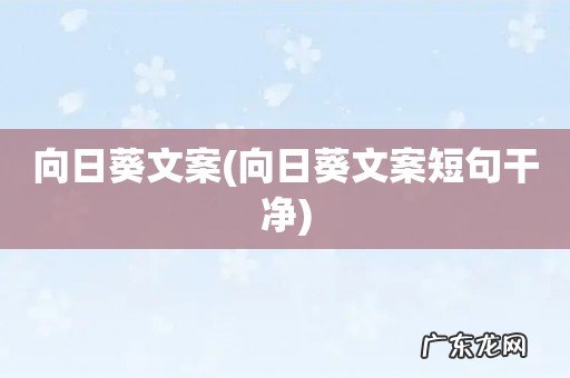 向日葵文案短句干净 向日葵文案