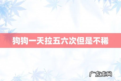 狗狗一天拉五六次但是不稀