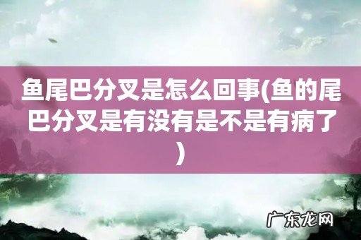 鱼的尾巴分叉是有没有是不是有病了 鱼尾巴分叉是怎么回事
