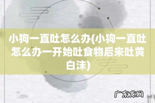 小狗一直吐怎么办一开始吐食物后来吐黄白沫 小狗一直吐怎么办