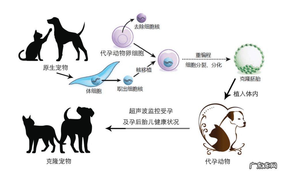 人工授精一般几次成功 体外受精是怎么做的