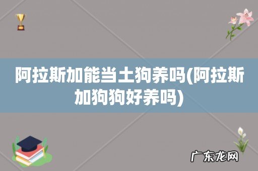 阿拉斯加狗狗好养吗 阿拉斯加能当土狗养吗