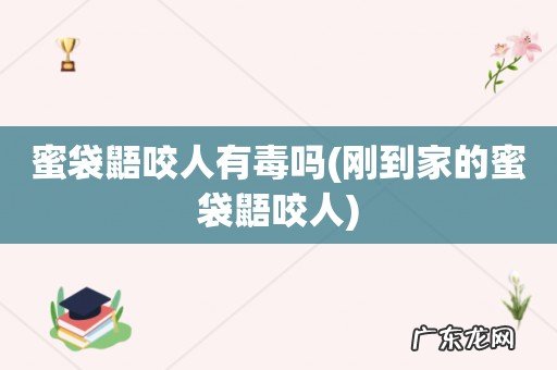 刚到家的蜜袋鼯咬人 蜜袋鼯咬人有毒吗