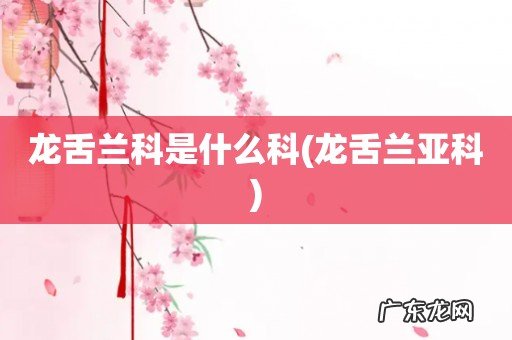 龙舌兰亚科 龙舌兰科是什么科