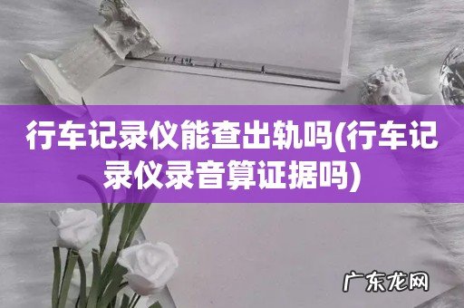 行车记录仪录音算证据吗 行车记录仪能查出轨吗